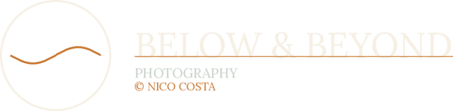 Below & Beyond Photography